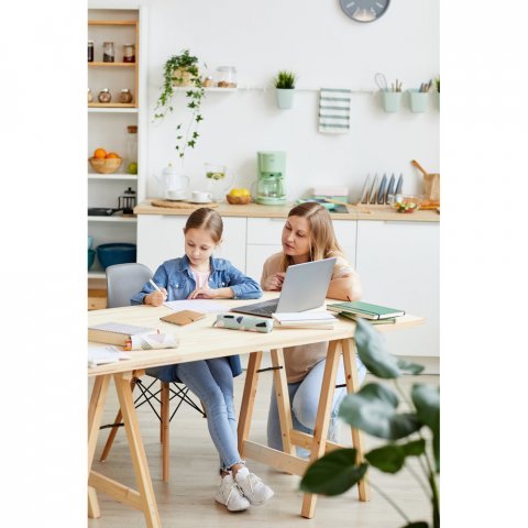 CAMPOS. 7 blocos adesivados com 25 folhas