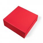 VAULT XL. Caixa XL em cart&atilde;o com revestimento em PVC - Vermelho