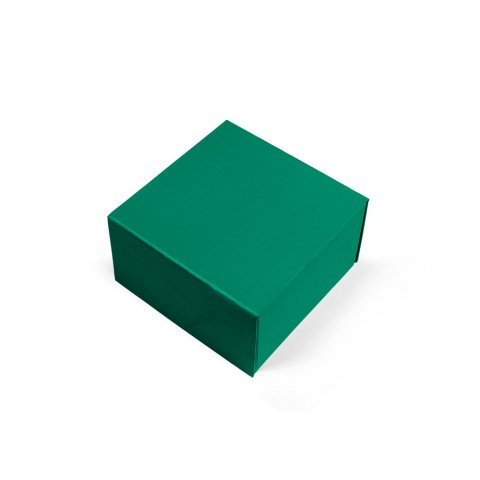 VAULT M. Caixa M em cart&atilde;o com revestimento em PVC - Verde