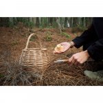 RANGER. Canivete com l&acirc;mina met&aacute;lica em a&ccedil;o inox e cabo em bambu