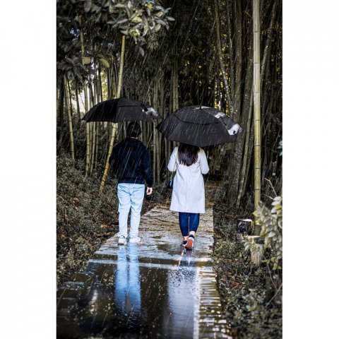 GAVIN. Guarda-chuva de 27.5'' em poli&eacute;ster 100% reciclado pongee 190T com abertura autom&aacute;tica